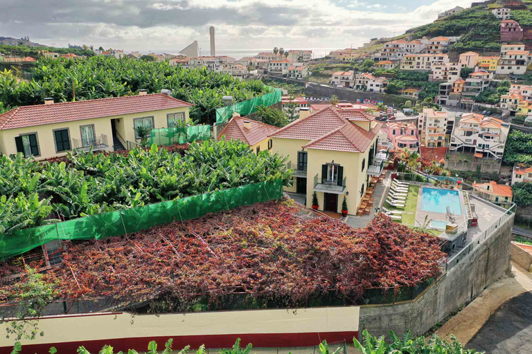 Exterior & Views 2, Quinta da Saraiva, Câmara de Lobos
