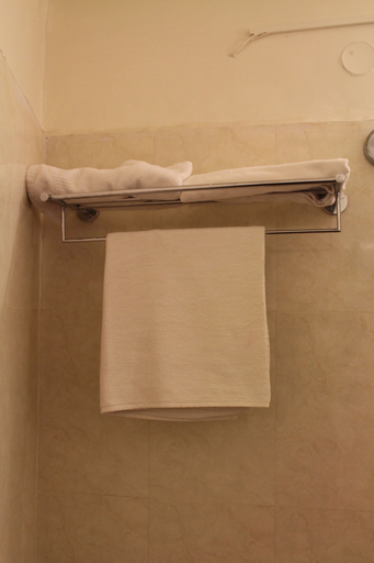 Bathroom 4, Hotel Pooja International, Davanagere