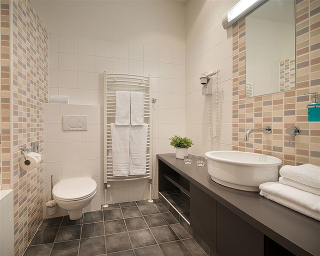 Bathroom 4, Hotel Grand Litava Beroun, Beroun