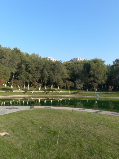 Exterior & Views, 7 Days Premium Shihezi Development Zone, Shihezi