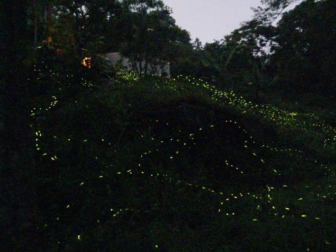 Exterior & Views 4, Walk Cloud Bed and Breakfast, Chiayi County