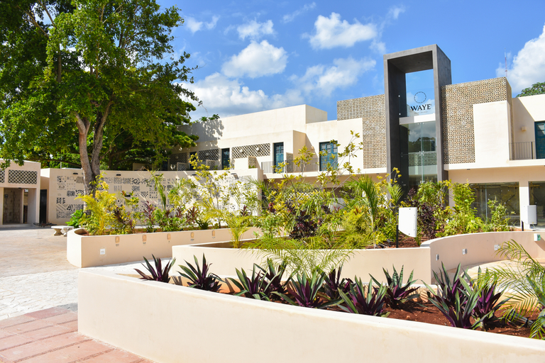 Public Area 4, WAYE, Valladolid