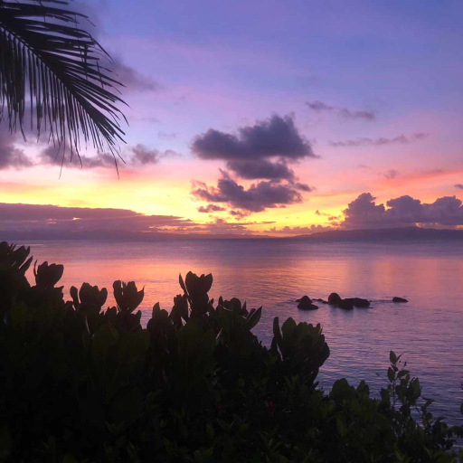 Taveuni Palms, Cakaudrove