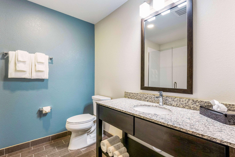 Bathroom 4, Sleep Inn Winfield - Teays Valley, Putnam