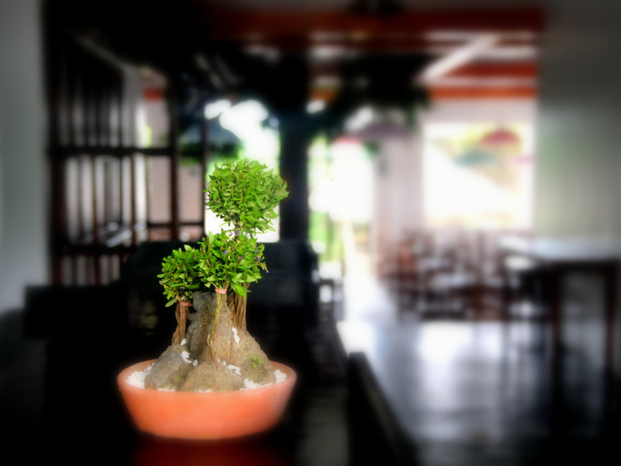 Food & Drinks 5, Oasis Resort and Spa, Malay