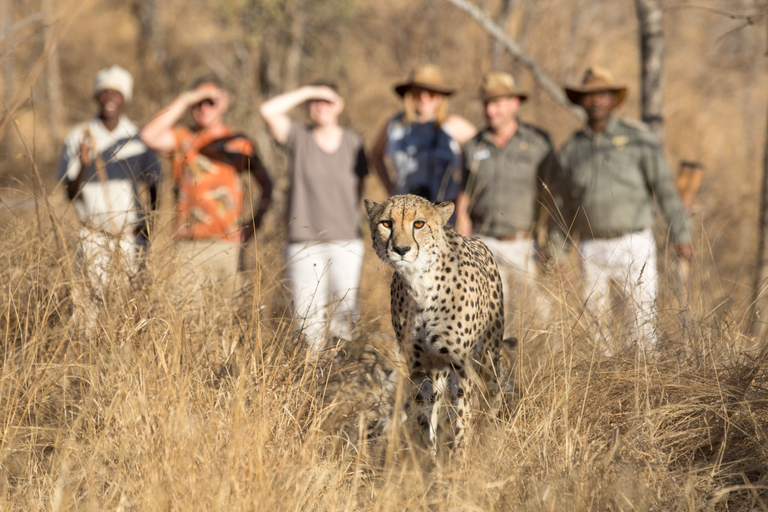 Exterior & Views 2, Karongwe- Shiduli Safari Lodge, Mopani