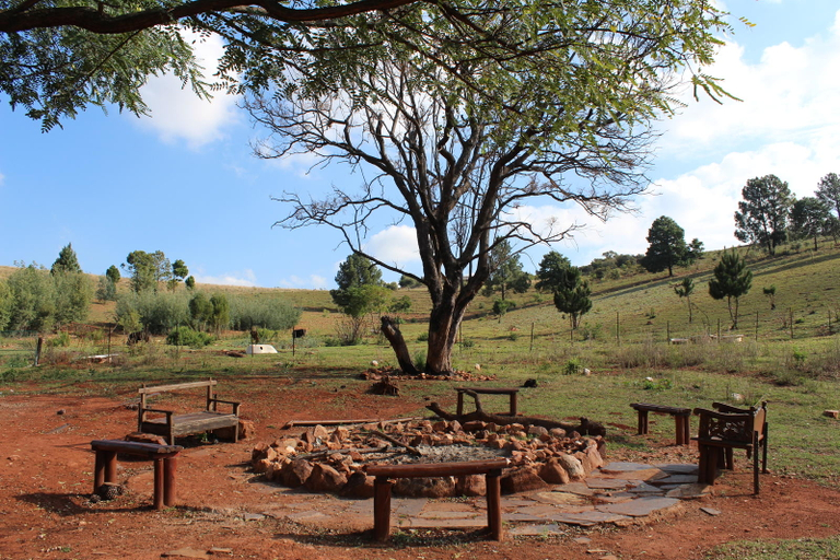 Food & Drinks, The Cradle Rest, West Rand