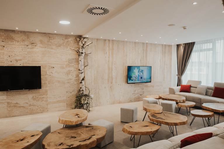 Public Area 3, Aparthotel Centar Sarajevo, Sarajevo