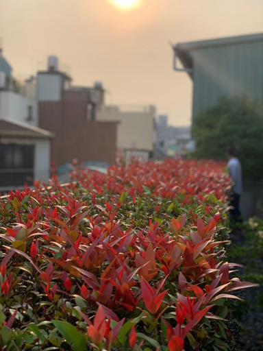 Exterior & Views 3, Roots Chew Hotel, Tainan