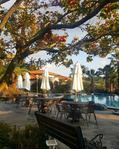 Sport & Beauty 3, Palm Valley Resort, Seogwipo