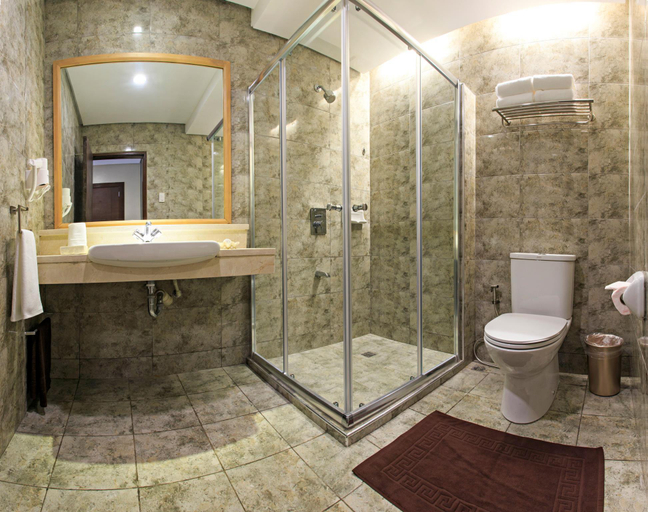 Bathroom 4, Cebu Westown Lagoon - South Wing, Mandaue City