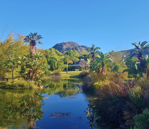 Exterior & Views 2, Val d'Or Estate, Cape Winelands
