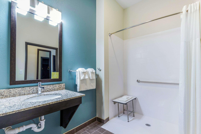 Bathroom 4, Sleep Inn Winfield - Teays Valley, Putnam