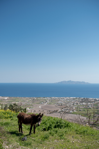 Public Area, Senses Luxury Villa, South Aegean