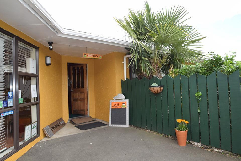 Public Area, The Bug Backpackers, Nelson