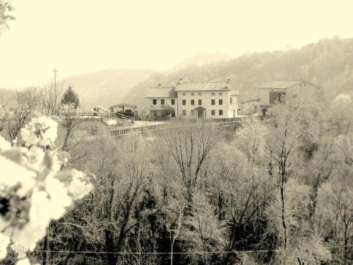 Agriturismo al Ciliegio, Vicenza