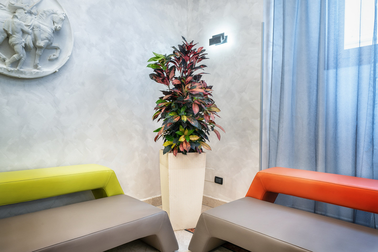 Public Area 2, Hotel Varese, Roma