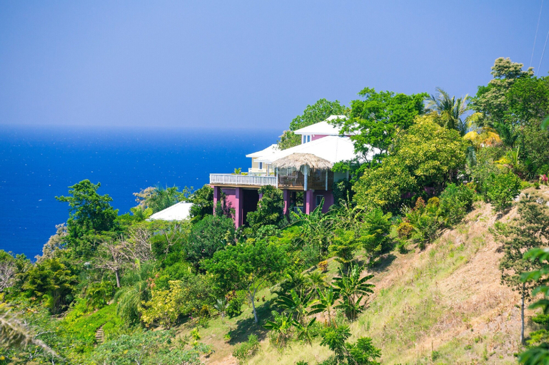 Purple Palace, Roatán