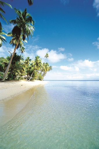 Jean-Michel Cousteau Resort Fiji, Cakaudrove