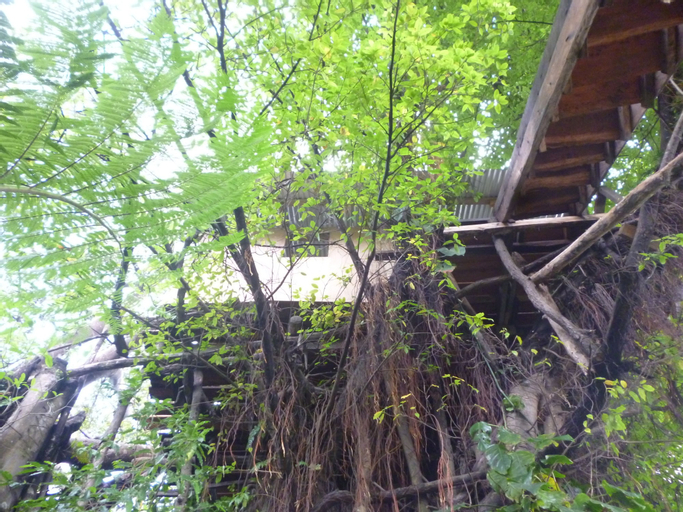 Castle Tree House, West Tanna