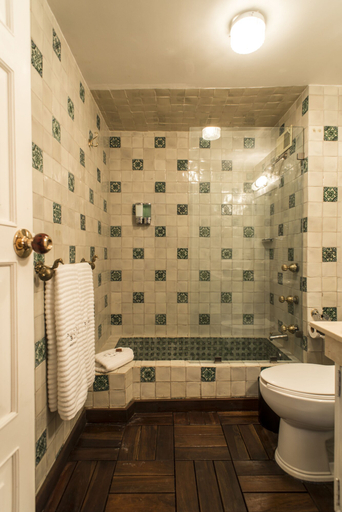 Bathroom 4, Pug Seal Coyoacan, Mexico City