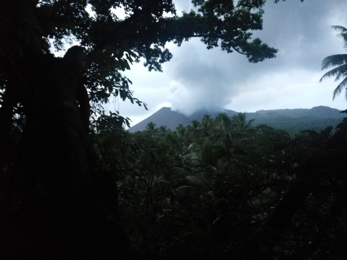 Castle Tree House, West Tanna
