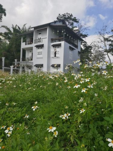 Khe Sanh Homestay Đa Lat, Đà Lạt