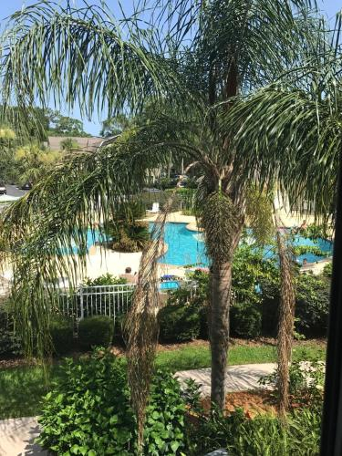 Ocean Walk Resort 2/2, Glynn
