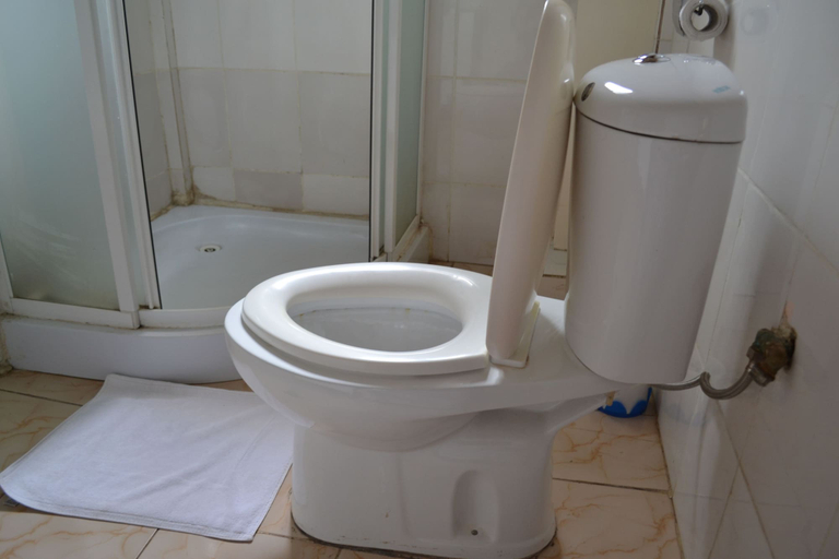 Bathroom 4, Aurelia Palace, Mfoundi
