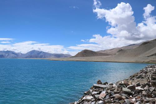 Mountain Homestays - Most scenic Pangong stay, Leh (Ladakh)