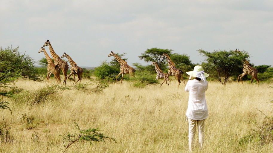 Maasai Simba Camp, Kajiado South