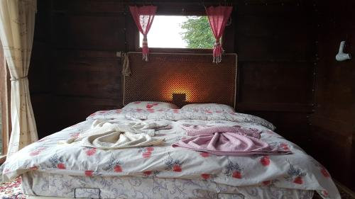 Olimbera Koy Evi, Arhavi