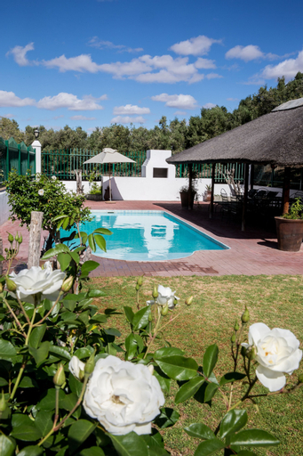 Olive Grove Guest Farm, Central Karoo