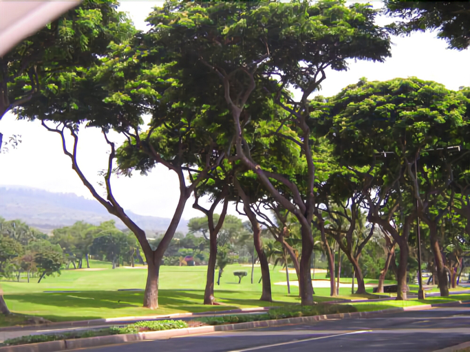 Exterior & Views, Grand Champions #143, Maui