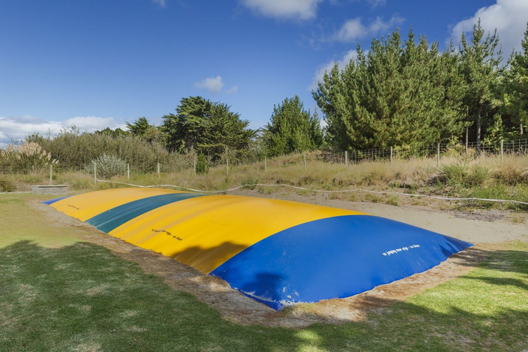 Sport & Beauty 2, Foxton Beach Holiday Park, Horowhenua