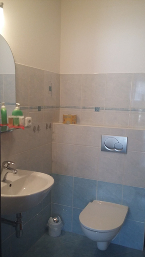 Bathroom 3, Apartment Nedrik, Semily