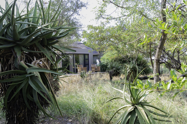 Angela's Safari Camp, Ehlanzeni