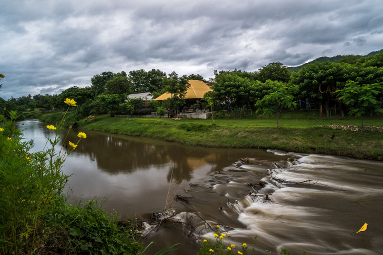 Canary Guesthouse, Pai