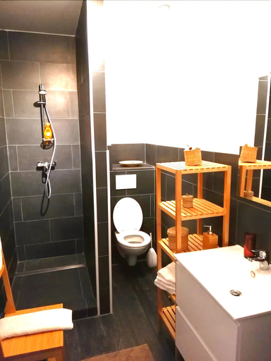 Bathroom 2, Maison d'Istrie, Bruxelles