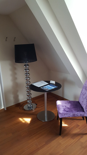 Public Area 2, Aparthotel Adler, Luzern