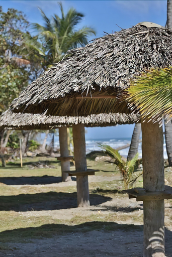 The Beachcomber at Las Canas, Gaspar Hernández