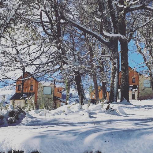 Bosque Nevado, Lacar