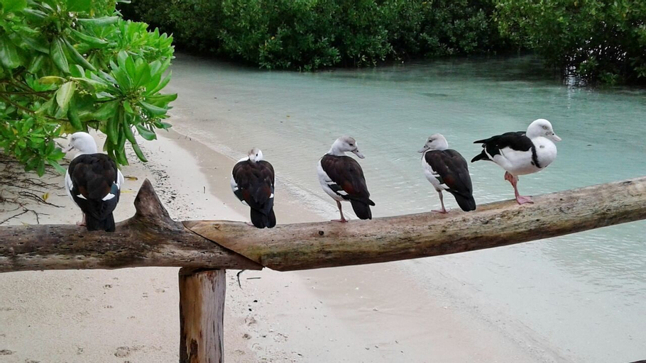 Raja Ampat Dive Lodge, Raja Ampat