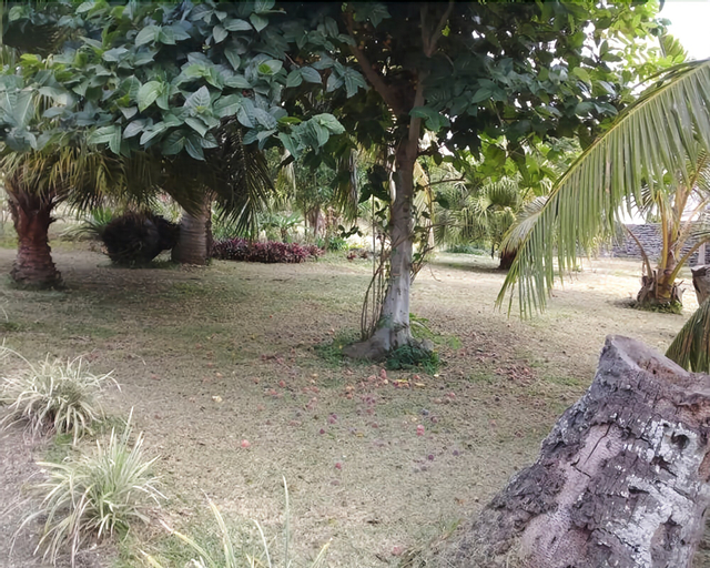 Amutia Resort, West Tanna