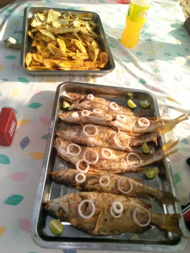 Food & Drinks, Les Berges De La Lobe, Océan