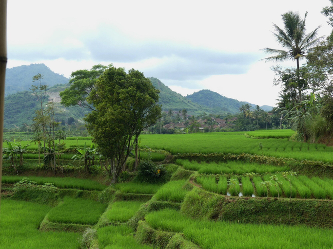Hostel Cianjur, Cianjur