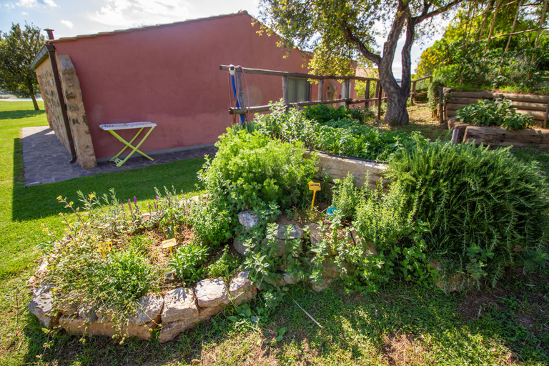 Others 4, Agriturismo Torribasse, Grosseto