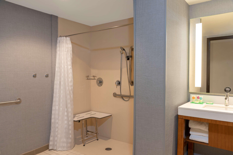 Bathroom 4, Hyatt Place Detroit/Royal Oak , Oakland