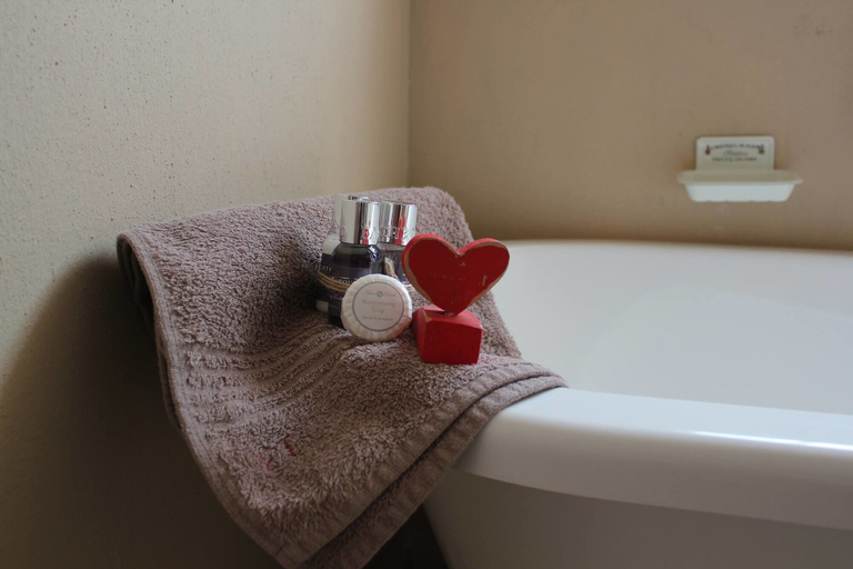 Bathroom, Homestead Guesthouse, Fezile Dabi