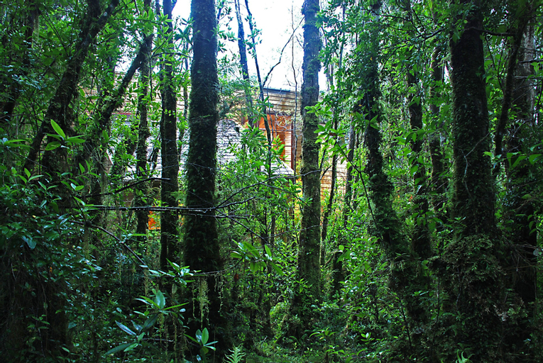 Isla Jechica, Aisén